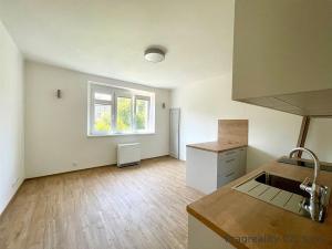 Pronájem bytu 1+kk, Praha, Ve struhách, 28 m2