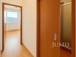 Pronájem bytu 1+1, Ústí nad Labem, Kmochova, 33 m2