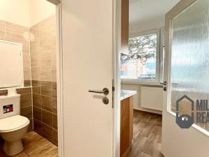 Pronájem bytu 1+1, Liberec, Na Jezírku, 43 m2