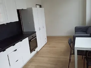 Pronájem bytu 2+kk, Praha - Vysočany, Poděbradská, 45 m2