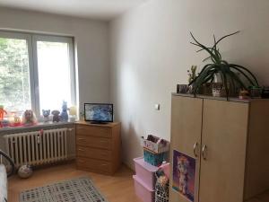 Pronájem bytu 3+kk, Olomouc, Na Vozovce, 70 m2