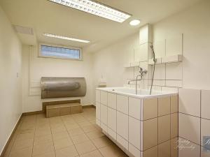 Pronájem obchodního prostoru, Ústí nad Labem, Spartakiádní, 11 m2