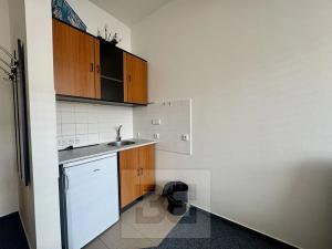 Pronájem bytu 1+kk, Brno, Příkop, 30 m2