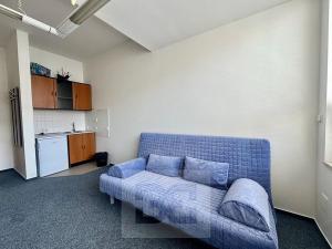 Pronájem bytu 1+kk, Brno, Příkop, 30 m2