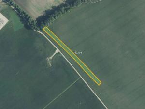 Prodej pole, Moravská Nová Ves, 6902 m2