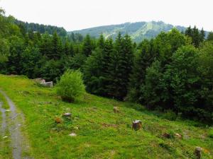 Prodej pozemku, Albrechtice v Jizerských horách - Mariánská Hora, 1587 m2