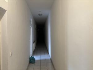 Pronájem ubytování, Brno, Cejl