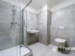 Pronájem bytu 1+kk, Olomouc, Aloise Rašína, 30 m2