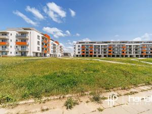 Pronájem bytu 1+kk, Olomouc, Aloise Rašína, 30 m2