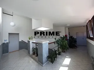 Pronájem kanceláře, Praha - Smíchov, Štefánikova, 129 m2