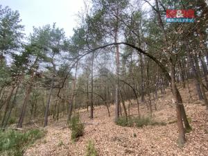 Prodej lesa, Miloňovice - Sudkovice, 2768 m2