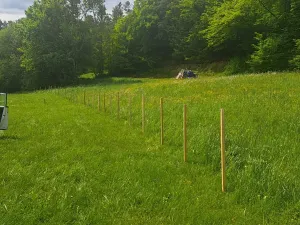 Prodej pole, Frýdštejn, 810 m2