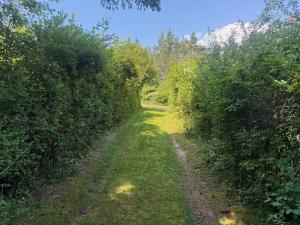 Prodej chaty, Pňovany, 35 m2