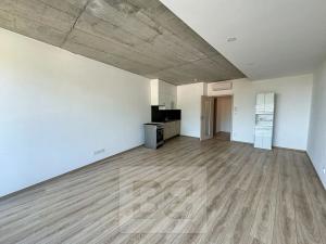 Pronájem bytu 1+kk, Brno, 38 m2