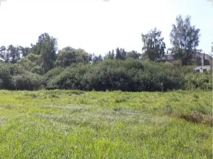 Dražba louky, Přešťovice, 828 m2