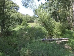 Dražba louky, Přešťovice, 828 m2