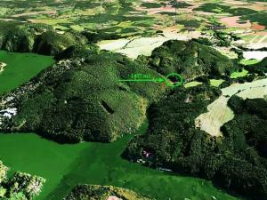 Prodej louky, Rabyně, 1457 m2