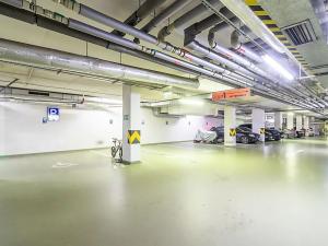 Pronájem bytu 2+kk, Praha - Žižkov, Pitterova, 90 m2
