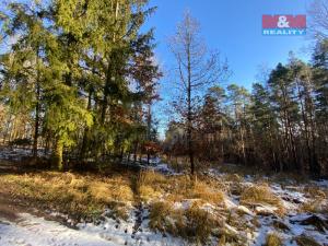 Prodej lesa, Všehrdy, 3720 m2
