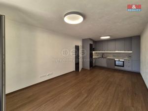 Pronájem bytu 2+kk, Plzeň - Litice, 53 m2