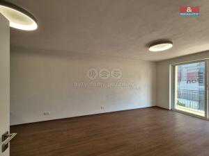 Pronájem bytu 2+kk, Plzeň - Litice, 53 m2