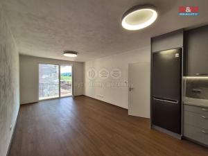 Pronájem bytu 2+kk, Plzeň - Litice, 53 m2