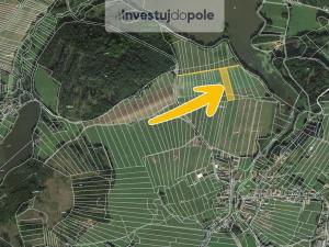Prodej pole, Neurazy - Vojovice, 1503 m2