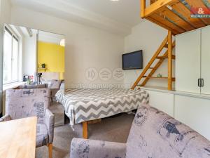 Pronájem bytu 1+kk, Praha - Karlín, Thámova, 20 m2