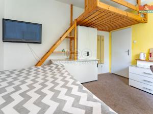 Pronájem bytu 1+kk, Praha - Karlín, Thámova, 20 m2