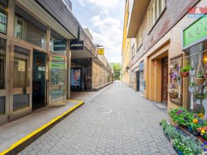 Pronájem bytu 1+kk, Praha - Karlín, Thámova, 20 m2
