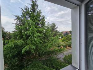 Pronájem bytu 2+1, Praha - Ruzyně, Stochovská, 56 m2