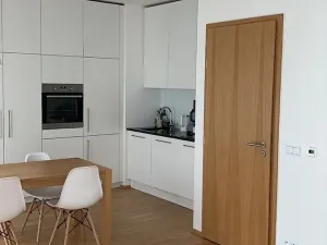 Pronájem bytu 1+kk, Praha - Podolí, Nad cihelnou, 37 m2