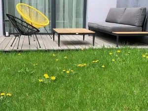 Pronájem bytu 1+kk, Praha - Podolí, Nad cihelnou, 37 m2