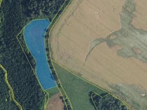 Prodej louky, Dvůr Králové nad Labem, 145881 m2