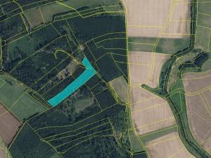 Prodej louky, Dvůr Králové nad Labem, 145881 m2