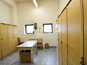 Prodej obchodního prostoru, Dýšina, Přátelství, 800 m2