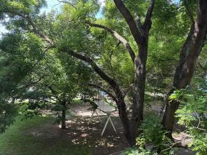 Prodej bytu 4+1, Brno, Strnadova, 80 m2