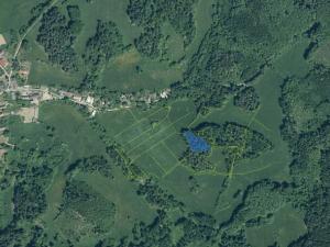 Prodej lesa, Kolinec, 2733 m2