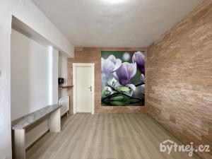 Pronájem bytu 2+kk, Olomouc - Nová Ulice, Karolíny Světlé, 45 m2
