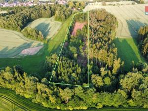 Prodej lesa, Božejov, 17153 m2