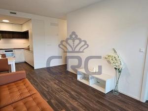 Pronájem bytu 2+kk, Brno - Veveří, Lidická, 54 m2