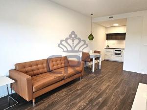 Pronájem bytu 2+kk, Brno - Veveří, Lidická, 54 m2
