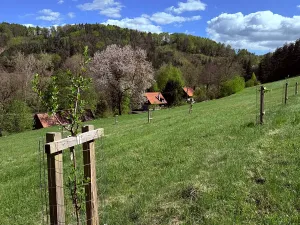Prodej chalupy, Bílá, 100 m2