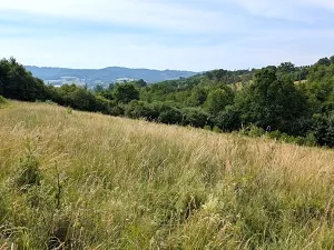 Prodej pozemku, Vizovice, 32591 m2