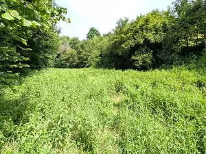 Prodej pozemku, Vizovice, 32591 m2