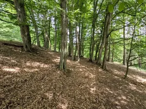 Prodej pozemku, Vizovice, 32591 m2