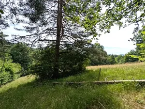 Prodej pozemku, Vizovice, 32591 m2