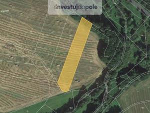 Prodej pole, Kasejovice - Podhůří, 17620 m2