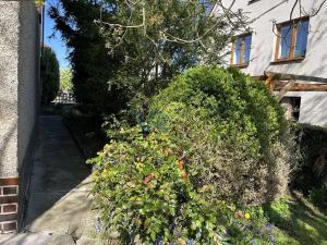 Prodej vícegeneračního domu, Dubné, 180 m2