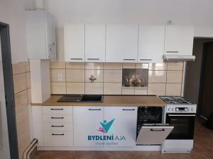 Pronájem bytu 2+1, Teplice, J. V. Sládka, 66 m2